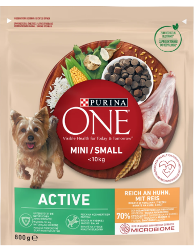 Purina One Mini Active Chicken & Rice 800g