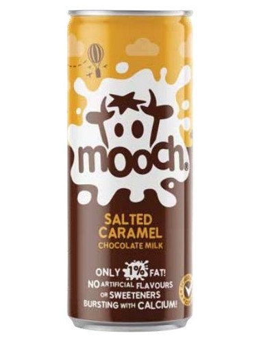 Mooch Chocolate Salted Caramel Milkshake 250ml