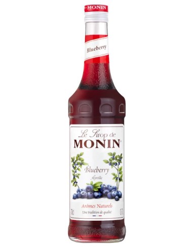 Monin Blueberry Syrup 700ml