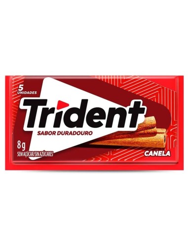 Trident Cinnamon Bubble Gum 8g