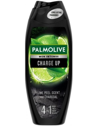 Palmolive Men's Charge Up 500ml